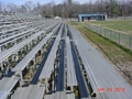 View Images