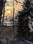 View Images